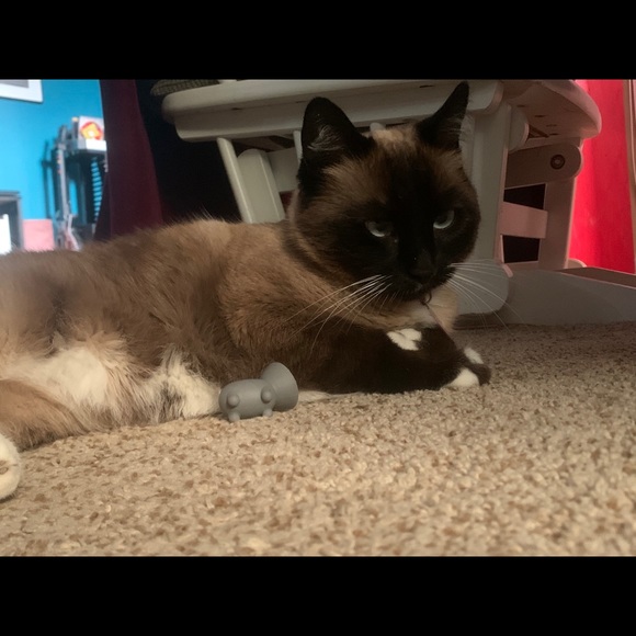 Meet your Posher, Michelle - Picture 5 of 9